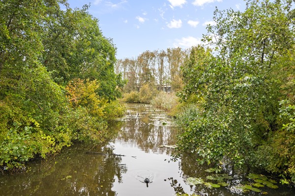 Medium property photo - Notenhout 4, 1787 RJ Julianadorp
